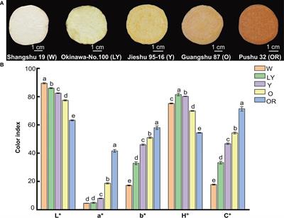 Integrated analysis of carotenoid metabolites and transcriptome identifies key genes controlling carotenoid compositions and content in sweetpotato tuberous roots (Ipomoea batatas L.)